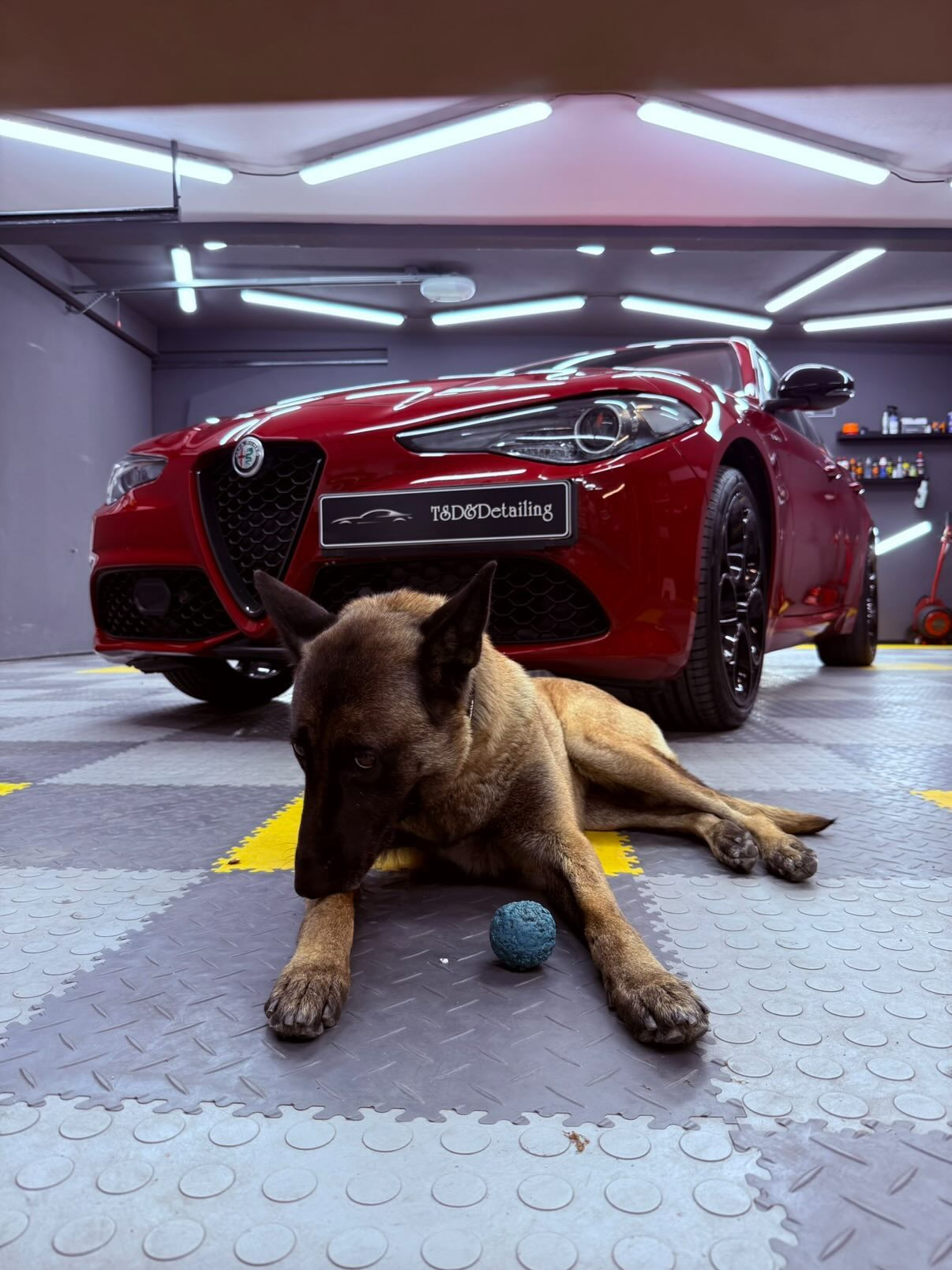 TSD Detailing - galéria